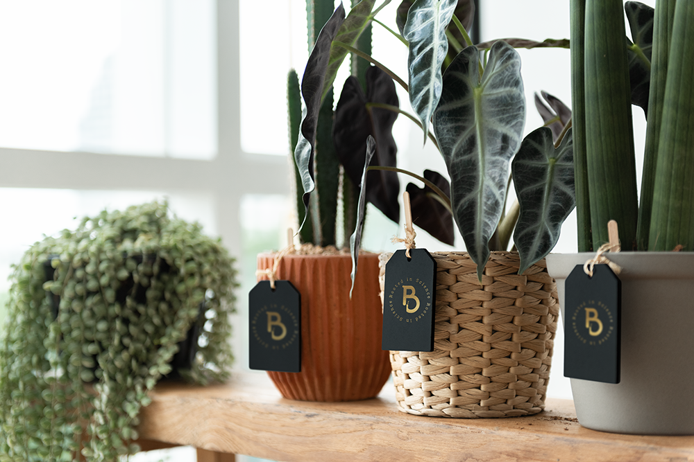 Plant Labels – Gold Subamark