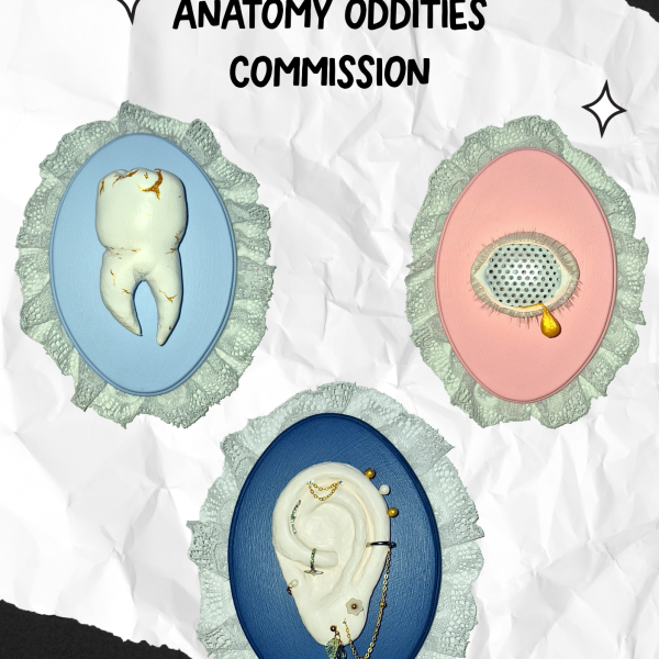 Hand Sculpted Anatomy Oddities - Commissions