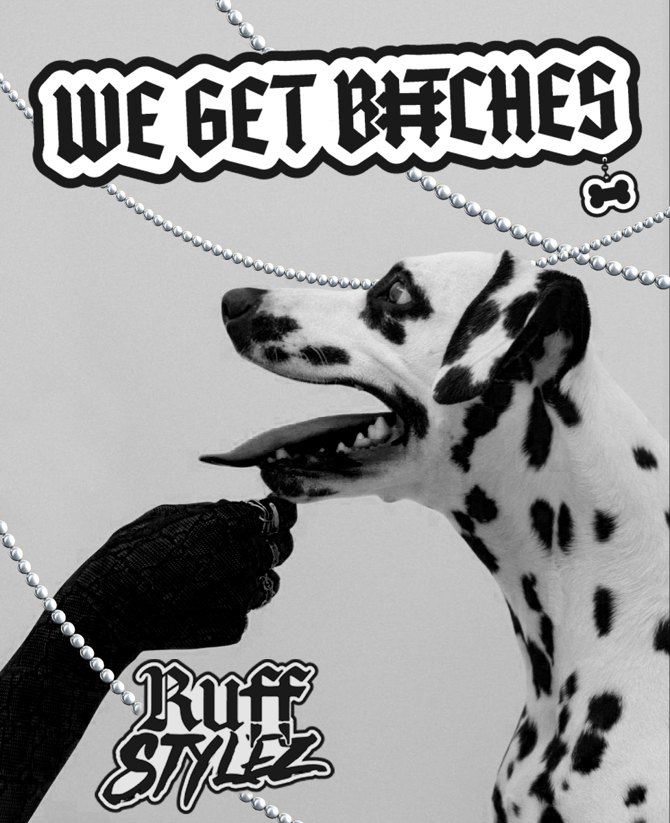 Dalmation Image with Pearls