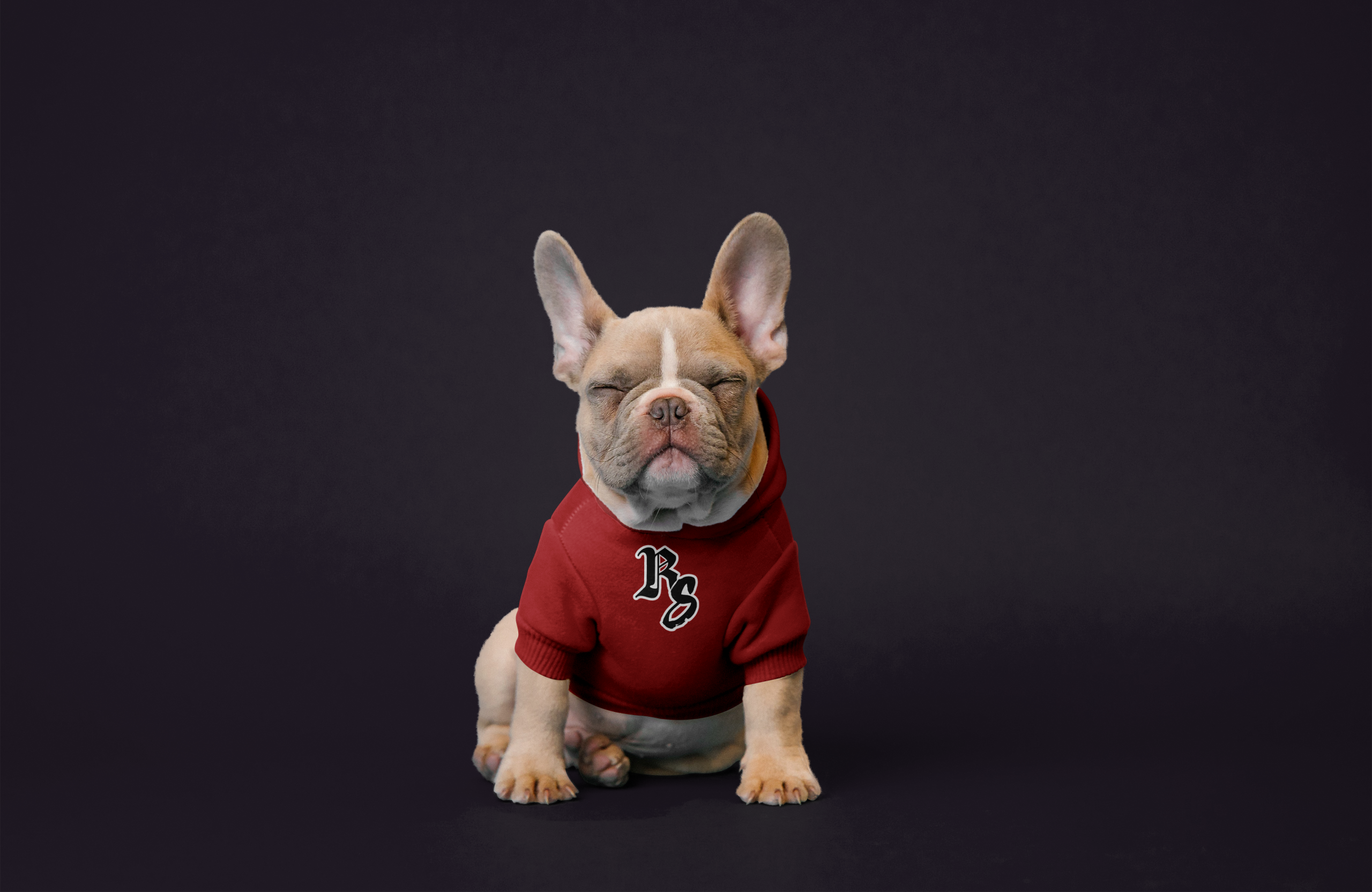 Dog Hoodie